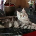 Arya chez Barbara