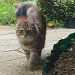 Lucy chez Philippe.