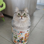Damman Amur Bulma chez Clementine.