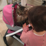 Damman Amur Loustik ches Anne et Regis