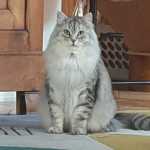 IMG-20221126-WA0000