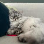 IMG_20240411_120513_356