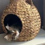 IMG_20250106_113106_423-2