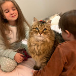 Damman Amur Novak