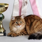 Son arrière grand mère Angelur Shalunya
