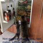 Morlowe, Orah et le melon!