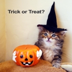 Isa Halloween