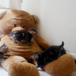 On s'amuse avec Teddy!
