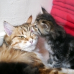 Maman prend un bain