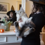 Halloween chez Damman AMur