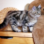 Inacio grand! 5 mois