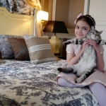 Victoria avec Gatsby chez Damman Amur, Sibérien black blotched tabby