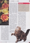 Reportage page 2