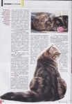 Reportage page 3