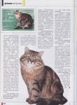Reportage page 5