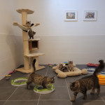 Nurserie