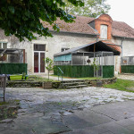 DSC08955