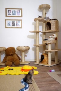 Chambre des bébés moyens